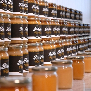 Bild für Kategorie Bienenhonige