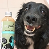 Bild von PROPOLIA Shampoo für Hunde und Katzen 200ml