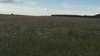 Bild von Wabenhonig min. 170g
