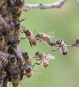 Bild für Kategorie Engagier DICH!